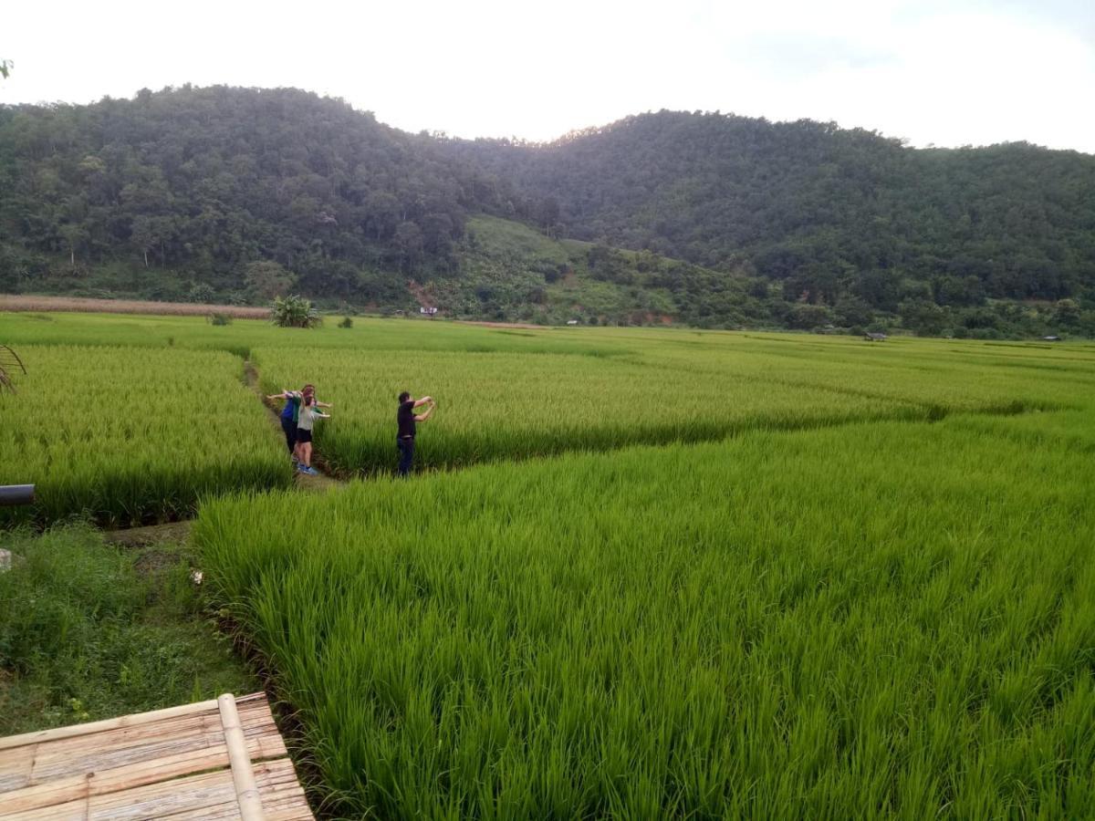 Samoeng Fishing Park Home Stay Exteriér fotografie